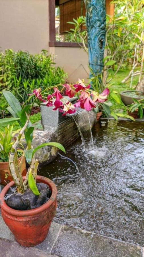 Indraprastha 2 Bungalow Ubud Zewnętrze zdjęcie